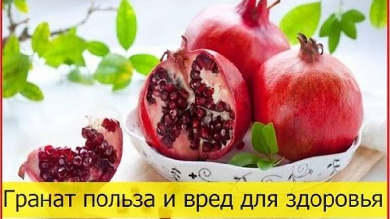 Предности и штете нара за здравље жена, мушкараца и деце