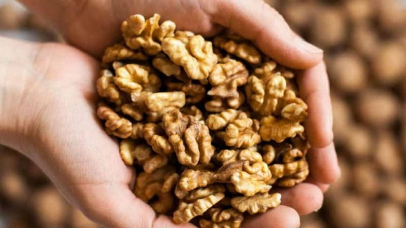 Los beneficios y perjuicios de las nueces para las mujeres.