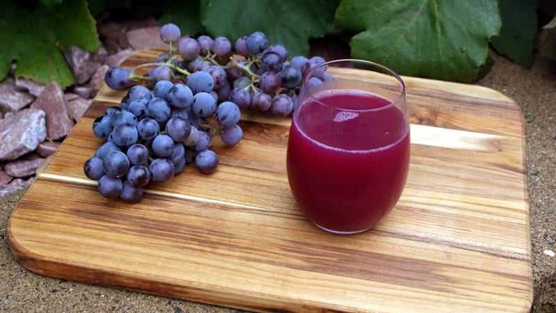 Benefits and harms of grape juice, preparation and use