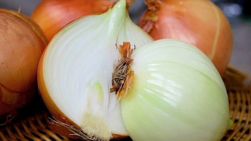 The incredible benefits of onions for the male body