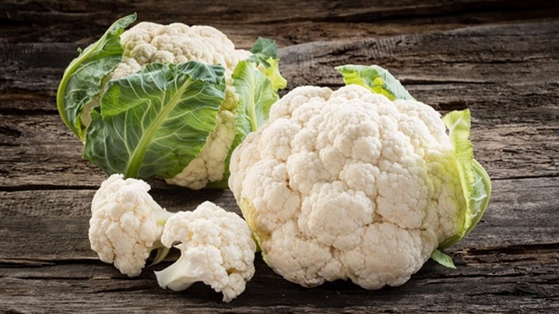 Simple recipes for delicious cauliflower in adjika for the winter