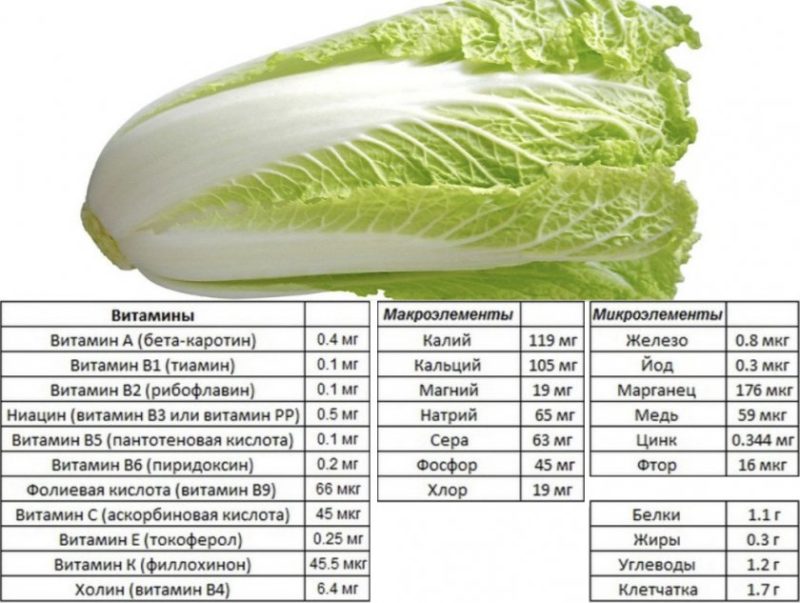 Hvor mange kalorier er det i kinakål og hva er fordelene med den?