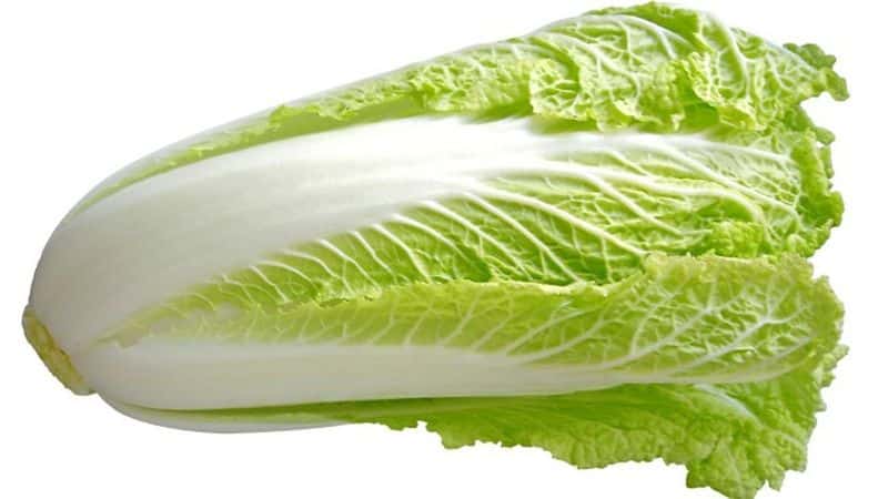 How many calories are in Chinese cabbage and what are its benefits?