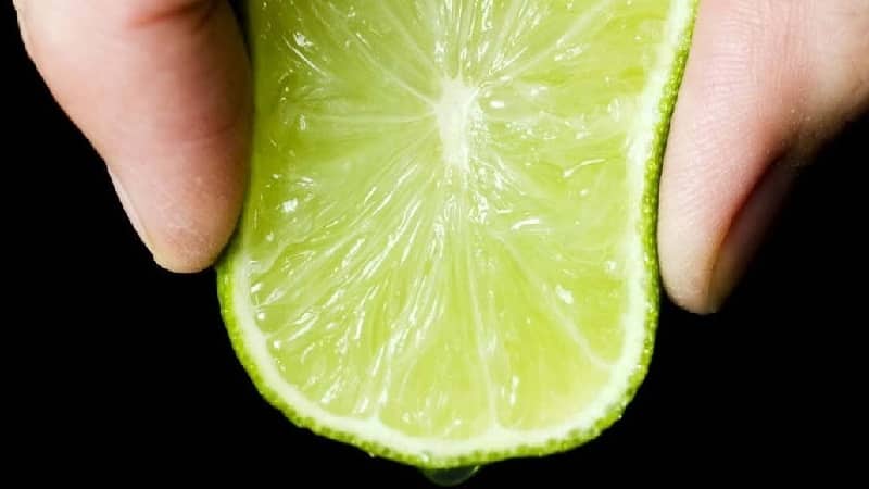 Lime juice és koncentrátum: összetétel, tulajdonságok, felhasználás, ellenjavallatok