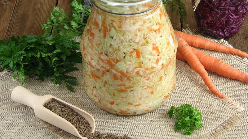 Salgar o repolho em um dia de forma rápida e saborosa: receitas simples para o lanche preferido de todos