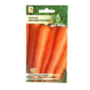 Unpretentious and disease-resistant carrot variety Berlicum Royal