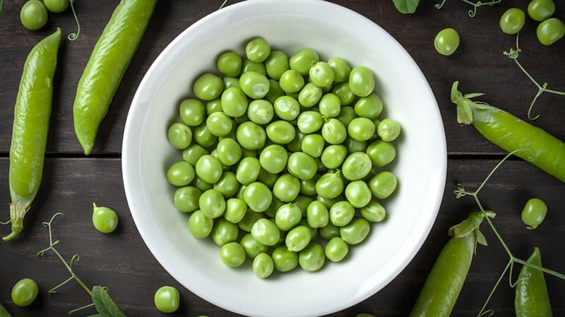 Comparing chickpeas and peas: what are the differences and what are the similarities?