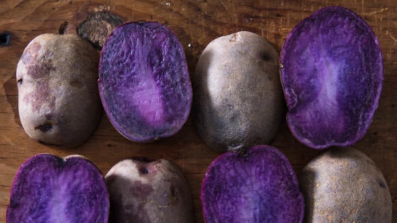 Nützliche Eigenschaften, Anbaumerkmale und Beschreibung der violetten Kartoffelsorte