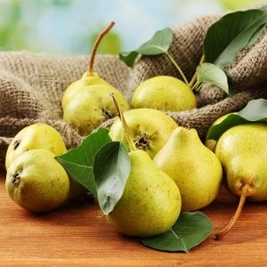 Where and how to store pears correctly so that they do not spoil