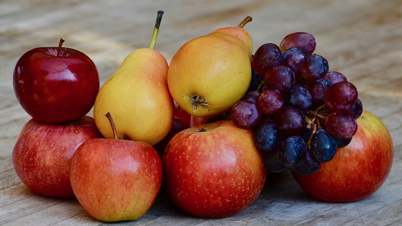 Where and how to store pears correctly so that they do not spoil