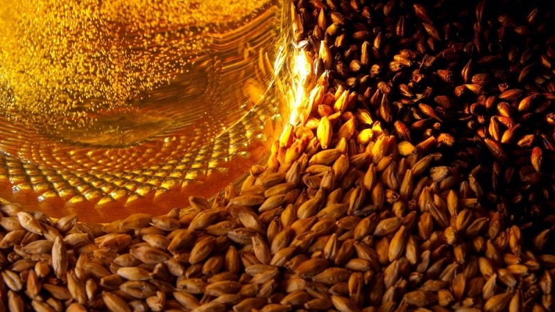 Characteristics of malting barley