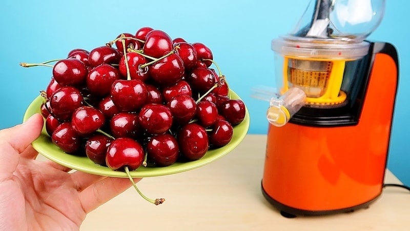 Recommendations on how to store fresh and processed cherries at home