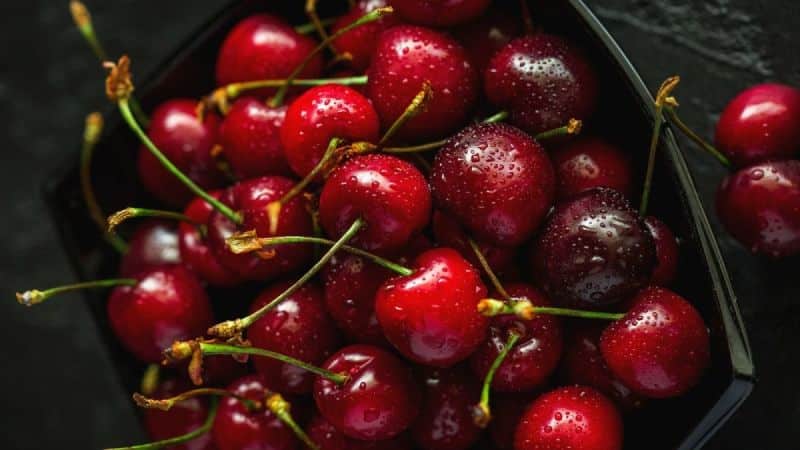 Mga rekomendasyon sa kung paano mag-imbak ng sariwa at naprosesong mga cherry sa bahay