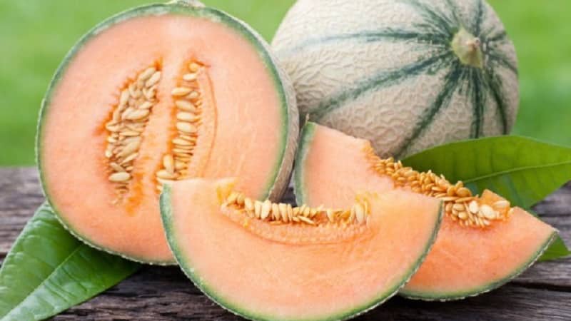 Quins són els tipus i varietats de melons?