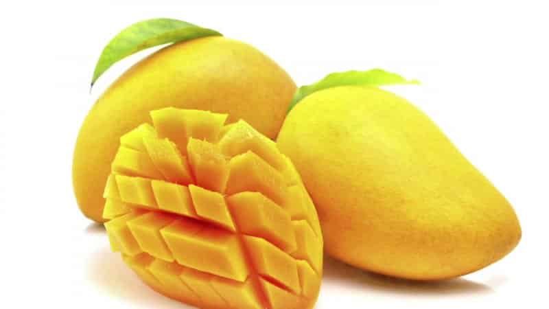 ¿Cuál es el contenido calórico del mango y cuáles son sus beneficios y perjuicios?