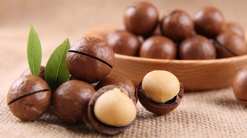 Macadamia fıstığının tadı ve kokusu nasıldır ve nasıl doğru şekilde yenir?