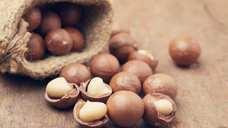 Macadamia fıstığının tadı ve kokusu nasıldır ve nasıl doğru şekilde yenir?