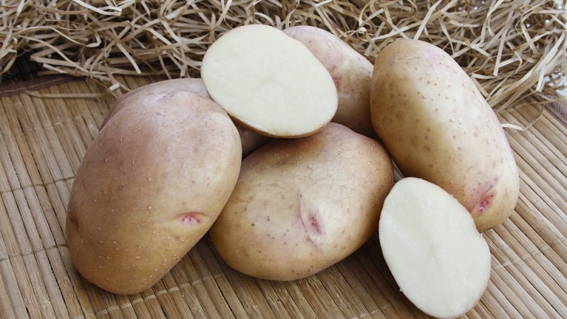 Per què tens ganes de patates durant l'embaràs i és possible menjar-les?