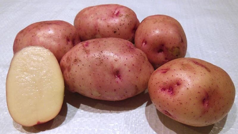 Classificazione delle patate per tipo