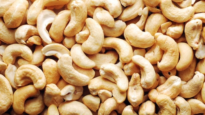 Cashew nuts - benefits and harm for women