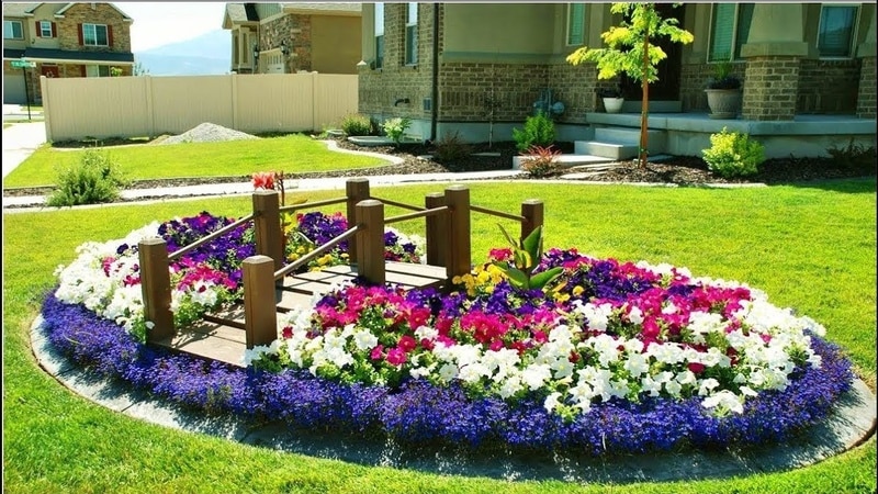 Hvad er fordelene ved petunia-blomster, og hvordan man dyrker dem korrekt