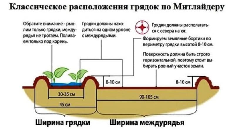 Kartupeļu stādīšana un audzēšana, izmantojot Mittlider metodi, lai iegūtu augstu ražu