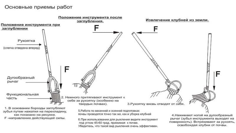 Advantages of a manual potato digger and how to make it yourself