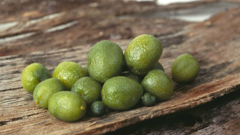 Varietà di lime: descrizione e caratteristiche