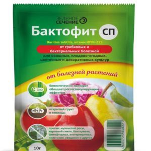 Làm thế nào để đối phó với bệnh gỉ sắt trên cây nho và ngăn chặn sự xuất hiện của nó