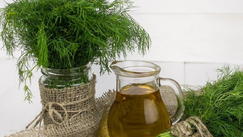 Resipi tincture dill yang paling berkesan