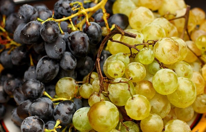 Aus welchen französischen und Kuban-Rebsorten wird Cognac hergestellt?