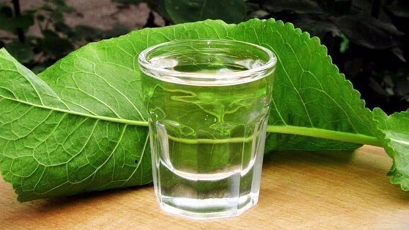 Ways to use horseradish leaves and their benefits for health and beauty