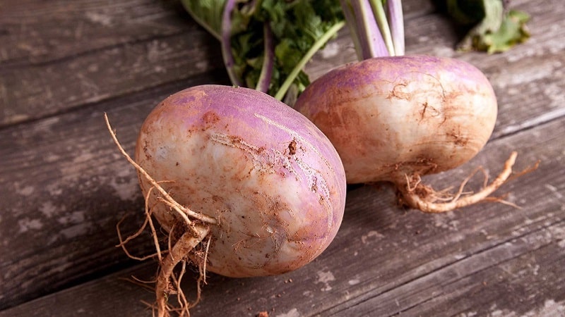 Đâu là sự khác biệt giữa rutabaga và củ cải