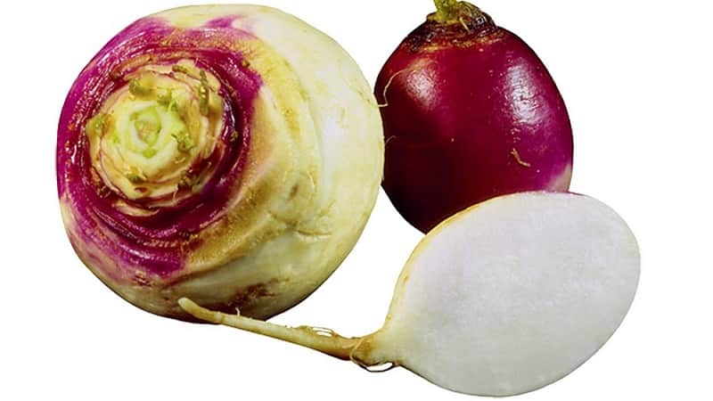 Quina diferència hi ha entre rutabaga i nap