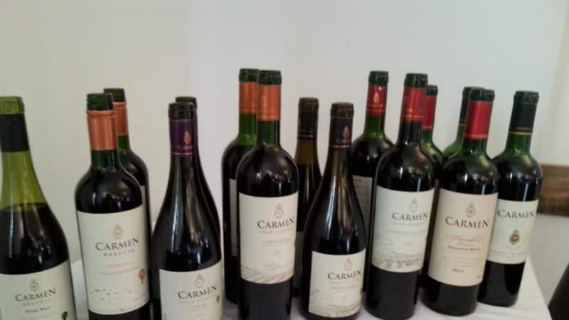 Pretentieloos smakelijke druivensoort Carmenère