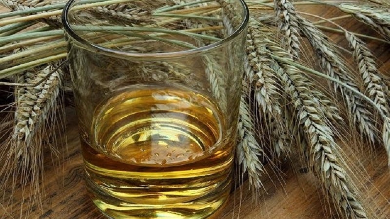 Mga lihim ng paggawa ng whisky mula sa barley sa bahay