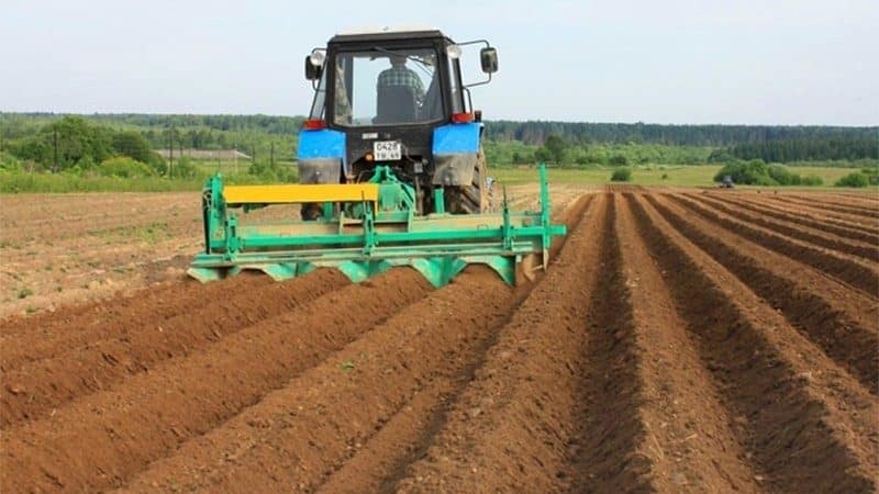 Máquinas para cultivo de batata - características das máquinas agrícolas