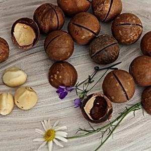 ¿Qué tienen de bueno las nueces de macadamia con chocolate y cómo comerlas correctamente?