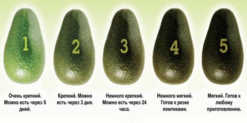 The best ways to ripen avocados at home quickly and easily