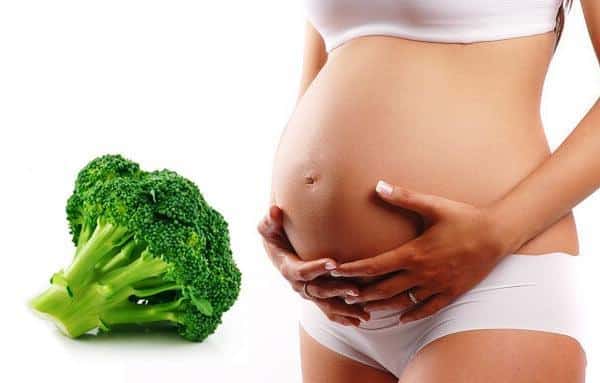 Is it possible to eat broccoli during pregnancy, in what form and quantity?