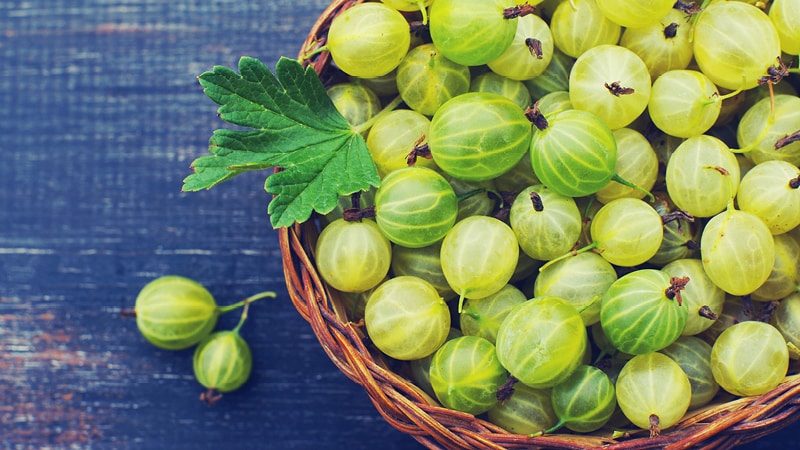 What are the benefits of gooseberries for women?