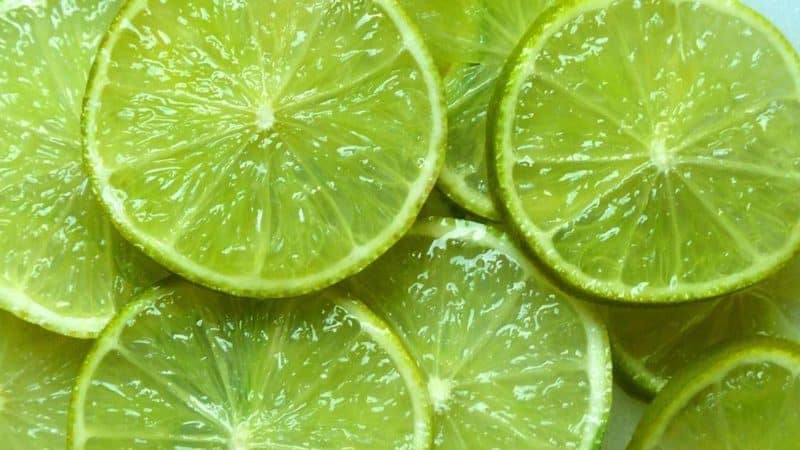 What is lime - what kind of plant is it and how does it grow