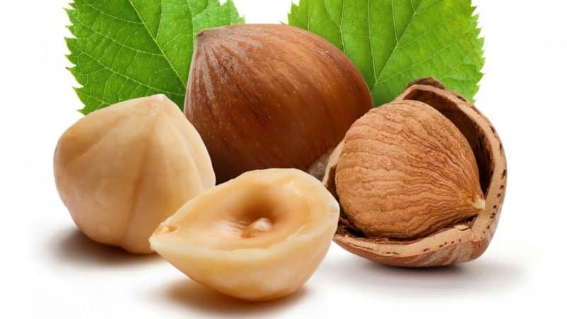 Berapa banyak kalori dalam hazelnut (dalam 100 g dan dalam 1 keping)