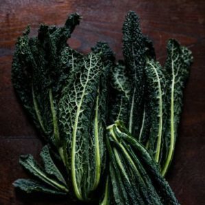 Italian black cabbage Tuscany