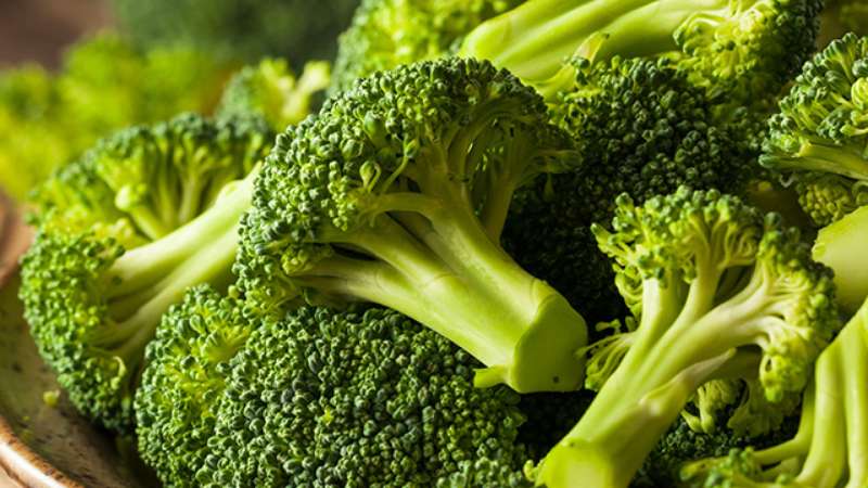 Composizione, benefici e danni dei broccoli