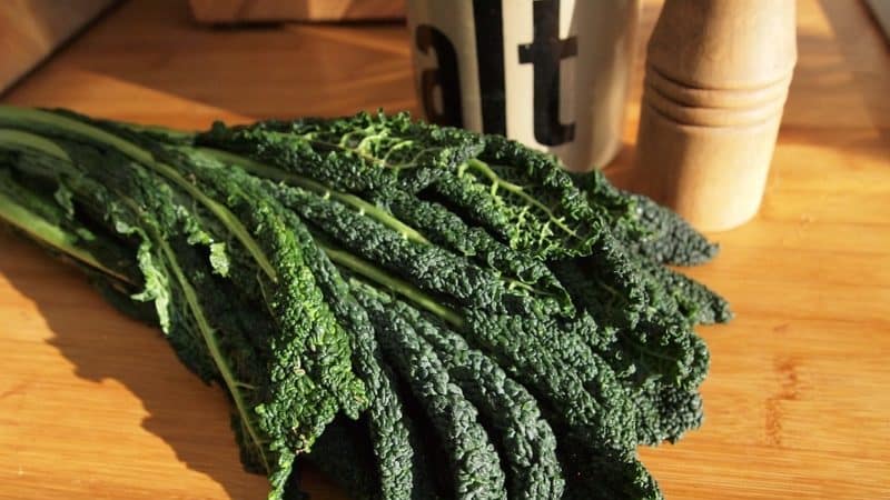 Italian black cabbage Tuscany