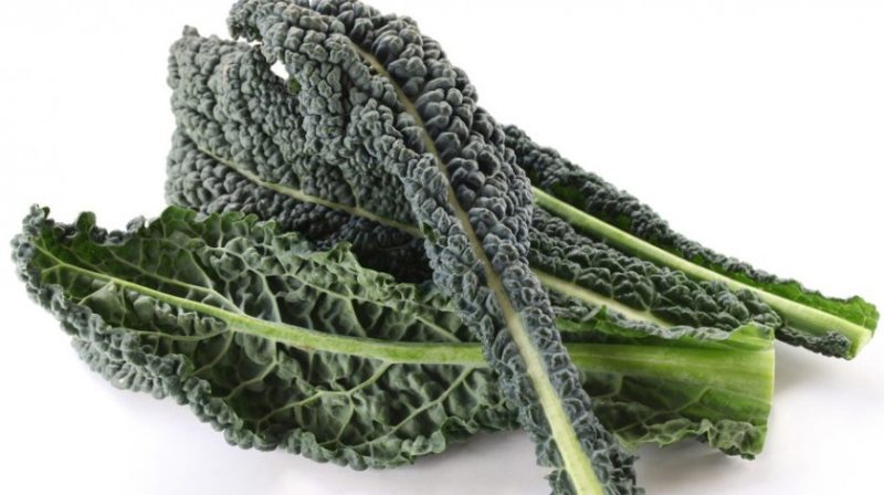 Cavolo nero italiano toscano