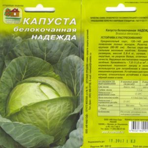 Universal mid-season cabbage variety Nadezhda