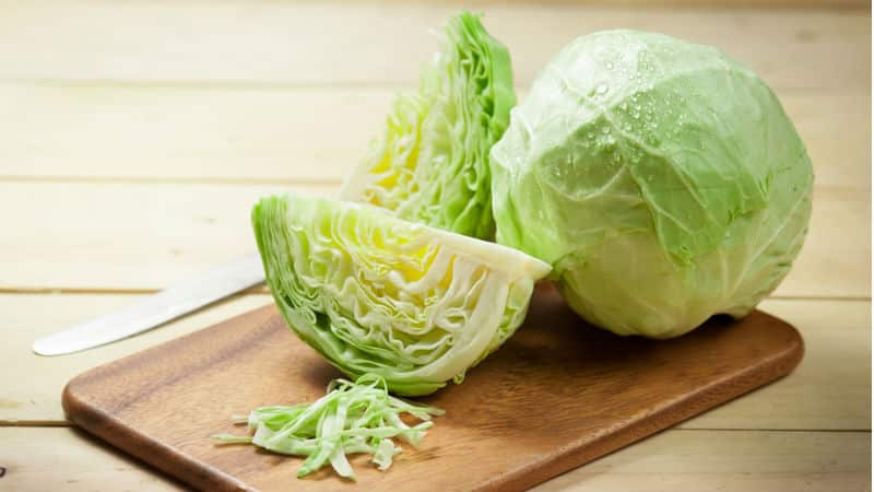 Late-ripening cabbage hybrid Kolobok f1 for winter storage