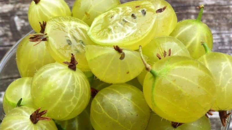 How to properly prune gooseberries in spring for a good harvest